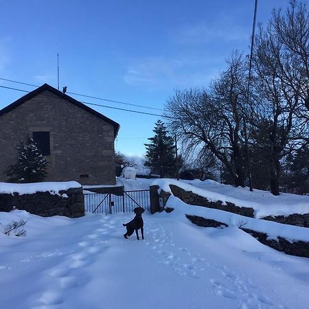 Mountain House/ Serra Da Estrela Penhas da Saúde Exteriör bild